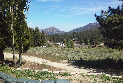 Wrightwood Forest